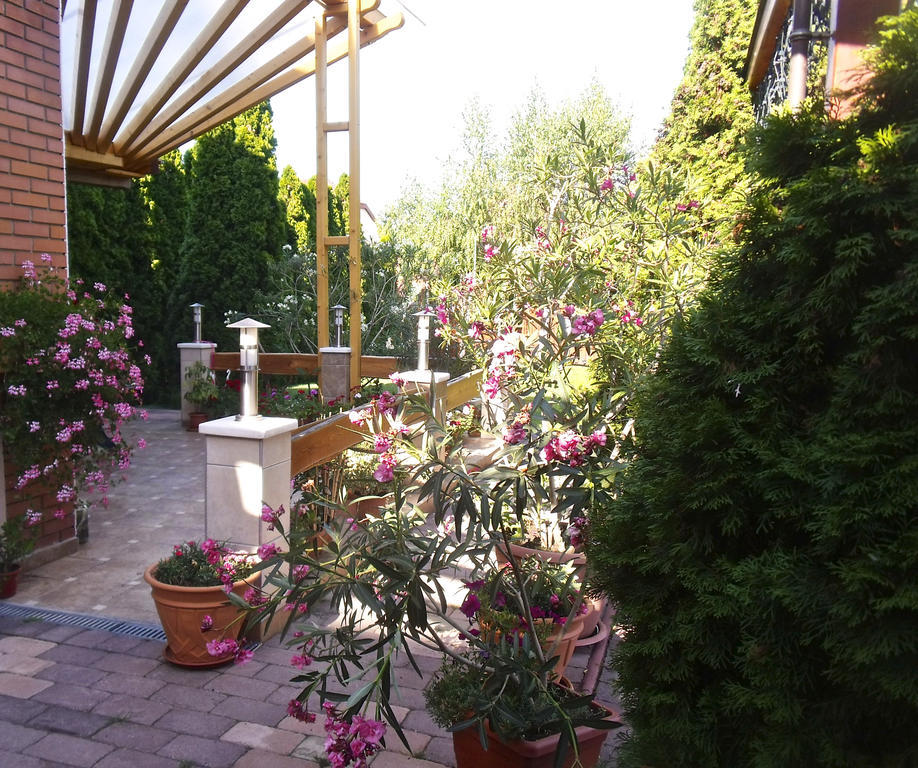 Angela Panzio Bed & Breakfast Berettyoujfalu Exterior photo